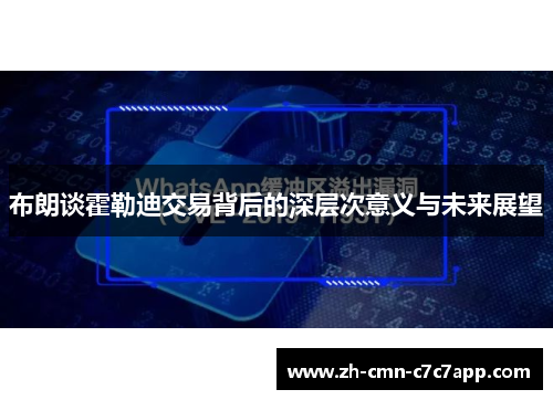 布朗谈霍勒迪交易背后的深层次意义与未来展望