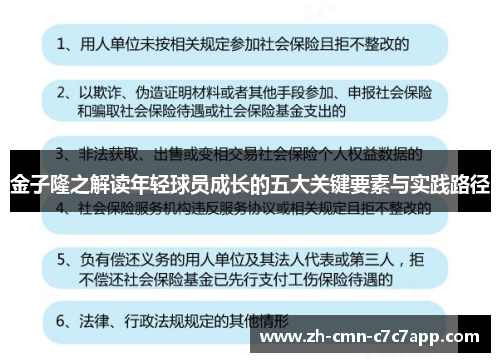 金子隆之解读年轻球员成长的五大关键要素与实践路径